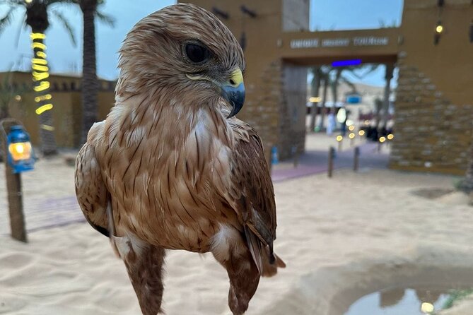 Dubai Desert Safari VIP Package - What the $55 price really covers