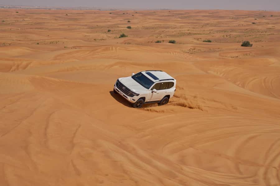 Dubai: Exclusive VIP Desert Safari Dinner with Live Show - Booking advice and final call
