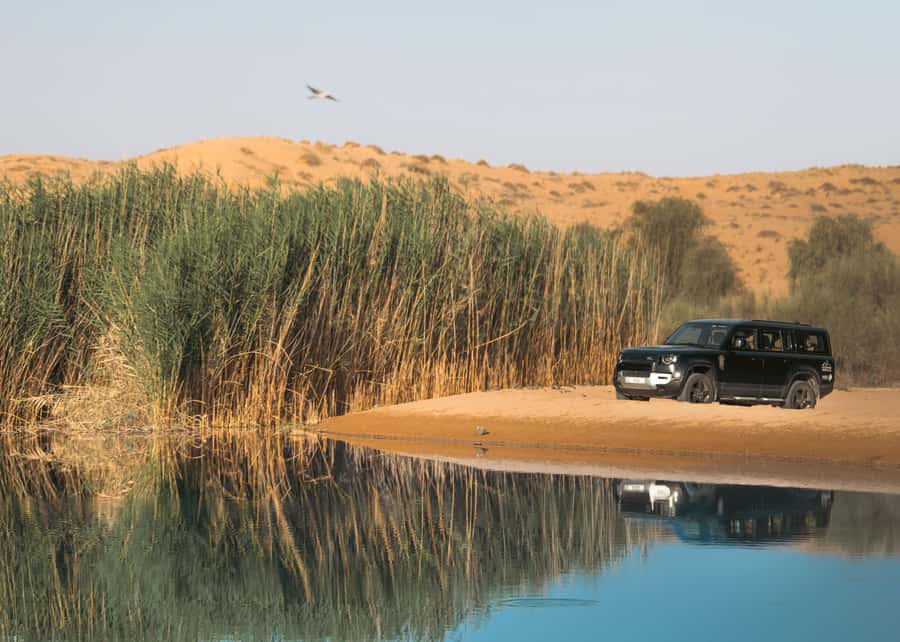 Dubai: Luxury Safari with Michelin-Curated 5-Course Dinner - Sunset falconry with canapes
