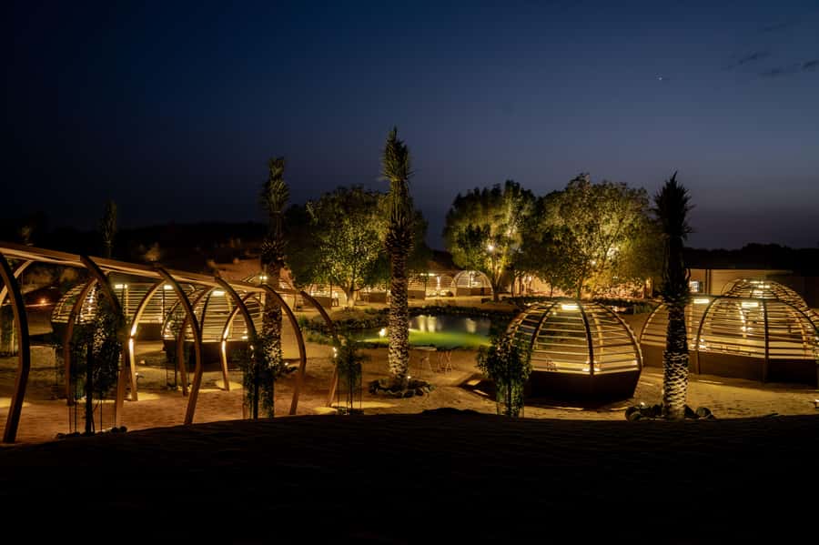 Dubai: Luxury Safari with Michelin-Curated 5-Course Dinner - The nature drive through the conservation reserve