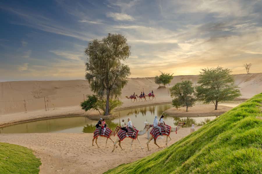 Dubai: Overnight Safari with Luxury Dome Stay & Stargazing - Key points to know before booking
