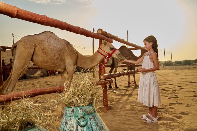 Dubai Private VIP Desert Dinner and Live Entertainment Show - Should you book the Dubai VIP desert dinner?