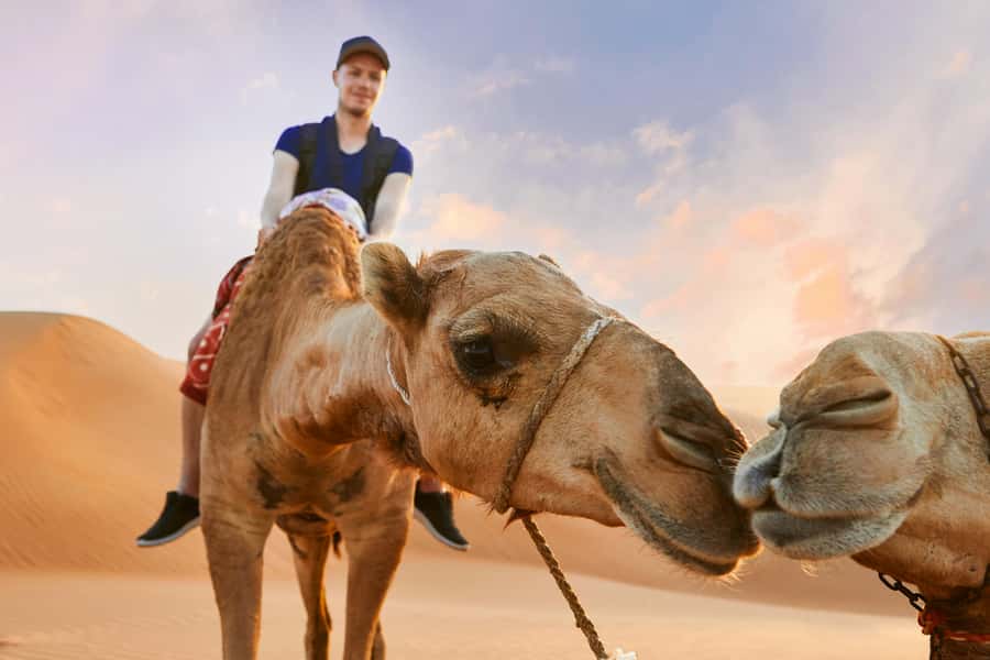 Dubai Waves & Dunes: Luxury Yacht Cruise w/ Red Dunes Safari - Is $95 a fair price?