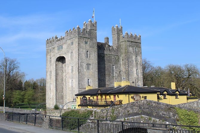 Dublin City Private Award Winning Luxury Car Tour - The Book of Kells and Trinity’s scholarly side