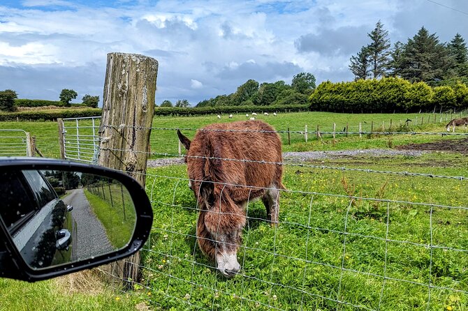 Dublin to Cliffs of Moher Private Luxury Day Tour - Liscannor gives you a proper lunch pause
