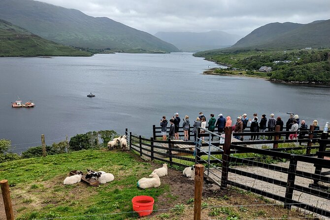Dublin to Cliffs of Moher Private Luxury Day Tour - What the $1,408.81 group price really means
