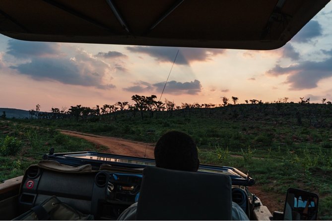 Durban: Big 5 Safari - Open Safari Vehicle at Exclusive Reserve - Thabo Mokgape makes the transfer part of the experience