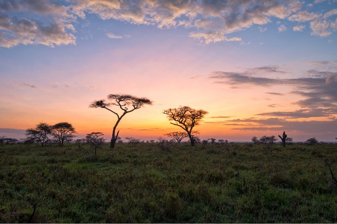 Durban: Big 5 Safari - Open Safari Vehicle at Exclusive Reserve - What you may see at Manyoni