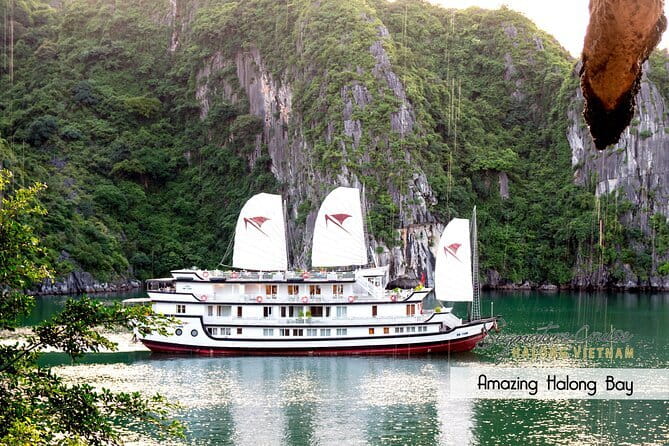 Elite of The Seas - Unique Luxury 3 Days Cruise in Halong & Lan Ha Bay - The second evening: food, relaxation, and extra costs