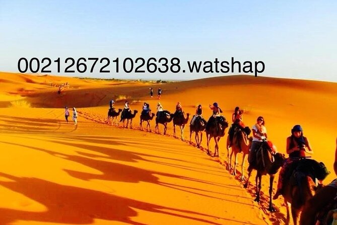 Enjoy 3 Days luxury camp Sandboard from Fes back fes,ou Marakech - From Fes to the Middle Atlas