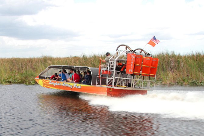 Everglades VIP Airboat Tour with Transportation Included - What you may see in the Everglades