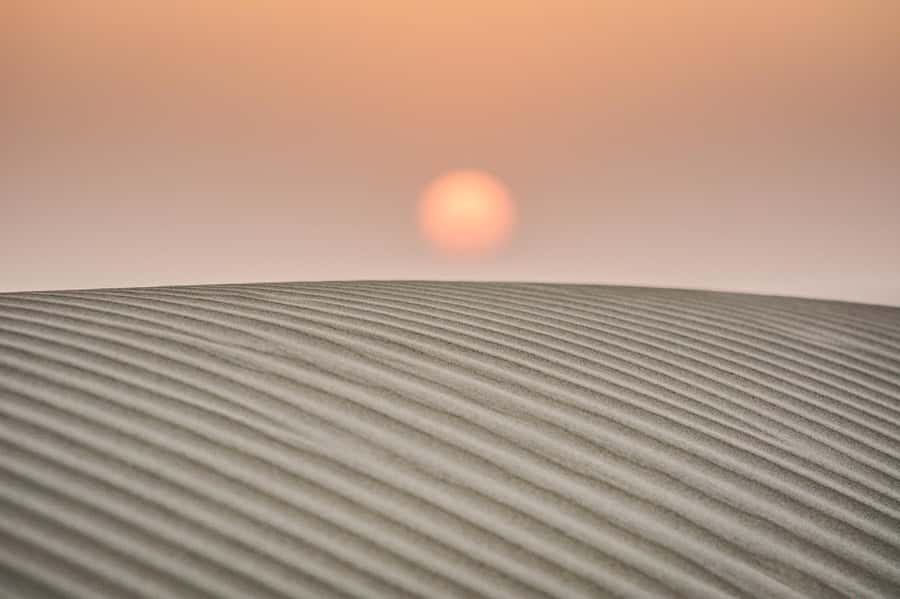 Exclusive Musical Evening at Desert Luxury Camp (NO CAMEL) - How the $59 price works for you