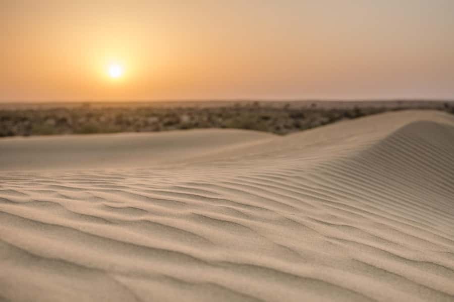 Exclusive Musical Evening at Desert Luxury Camp (NO CAMEL) - The guide can shape the whole evening