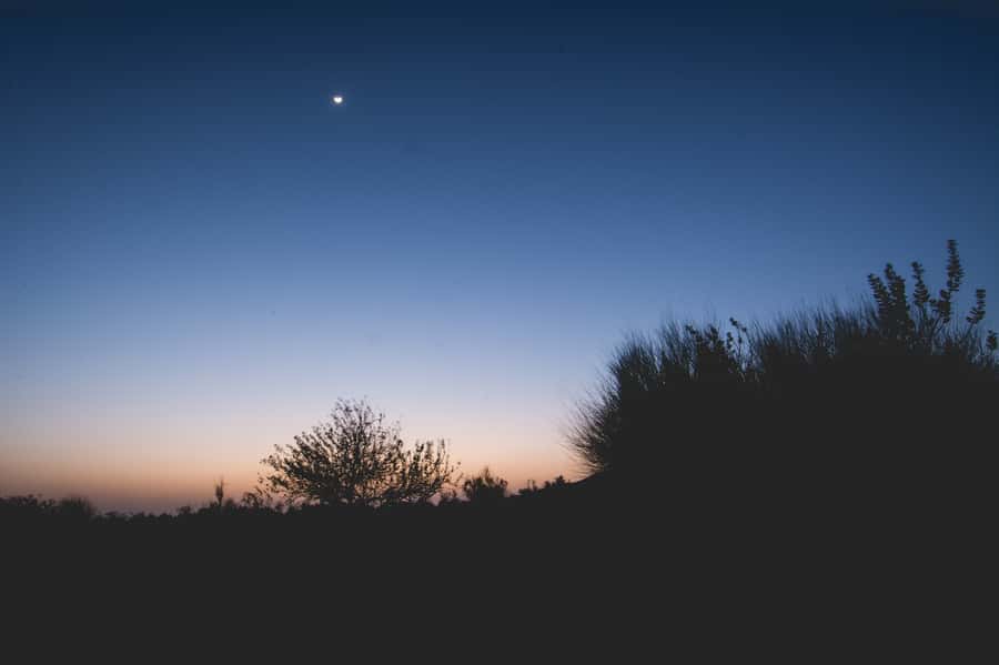 Exclusive Musical Evening at Desert Luxury Camp (NO CAMEL) - Who should book this desert evening
