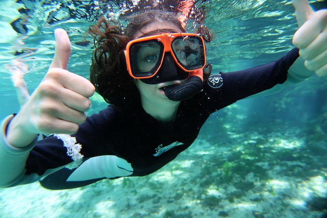 Exclusive Small Group VIP Heated Manatee Snorkel Tour - Meeting the manatees in the water