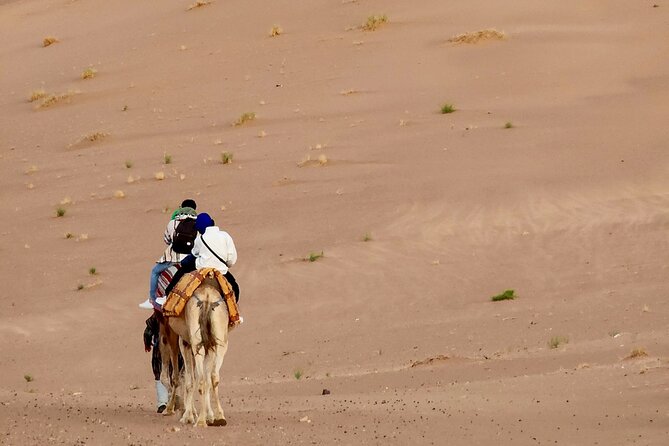 Experience Luxury in Zagora: 2-Day Desert Adventure - The real shape of this two-day desert trip