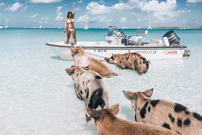 Exuma Elite Escape: Luxury Fly-In Pig Beach Adventure - 7 Stops - At a glance: seven memorable Exuma stops