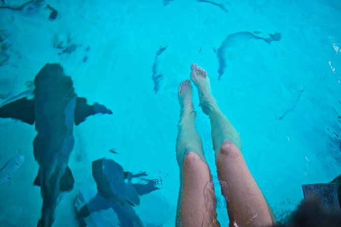 Exuma Elite Escape: Luxury Fly-In Pig Beach Adventure - 7 Stops - Staniel Cay lunch and the cost of stopping