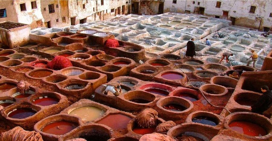 Fes Private Guided Tour With Luxury Car - Transport, language, and private-group comfort