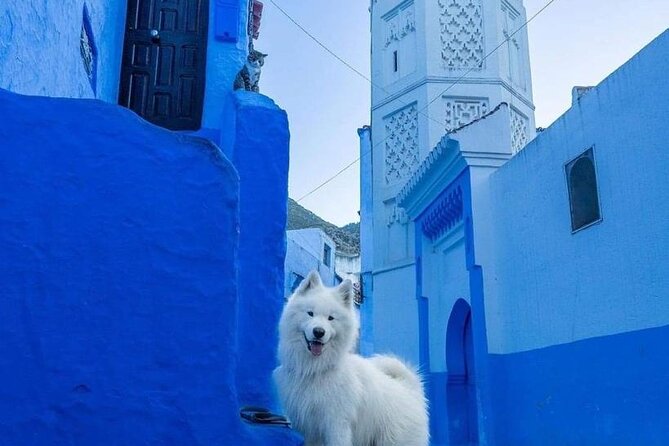 FES TO Chefchaouen Day Trip- luxury Private Tour - An afternoon shaped by your own pace