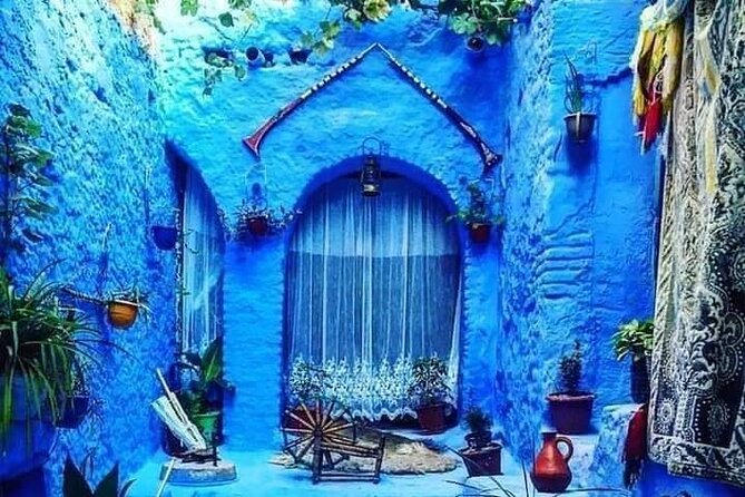 FES TO Chefchaouen Day Trip- luxury Private Tour - Who should book this day trip?