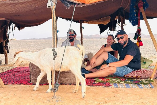 Fes to Fes Private Desert tour 1-night 2-Day Tour luxury camps - Cedar woods and the Azrou stop
