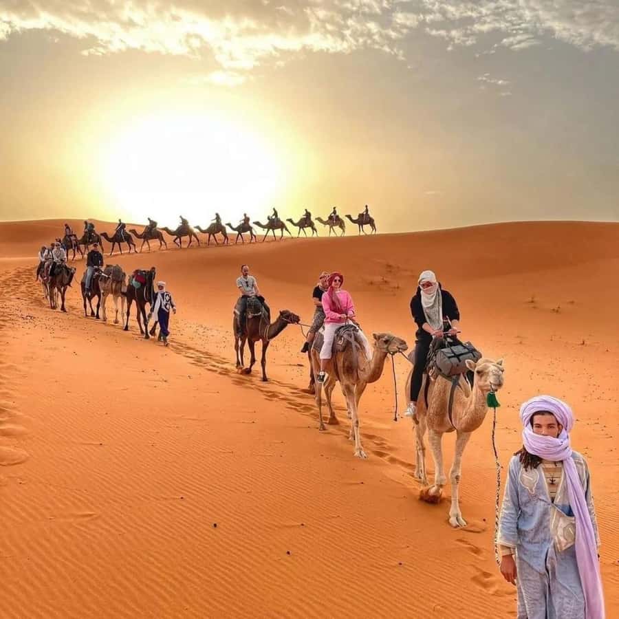 Fez: 2 Day-1 Night Luxury Sahara Desert Trip to Fez/Marakech - One night in a private Sahara tent