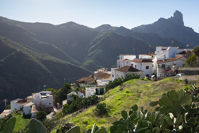 Firgas, Tejeda, Guayadeque - VIP Tour Gran Canaria - Lunch in Valleseco, with the choice left to you