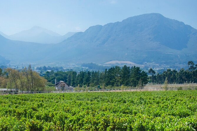 Franschhoek Winelands Luxury EBike Tour - The fourth estate and the value of variety