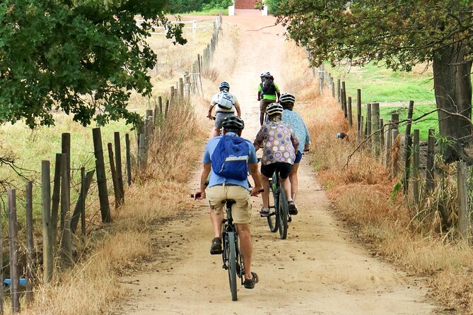 Franschhoek Winelands Luxury EBike Tour - The Huguenot monument adds a pause from the wine