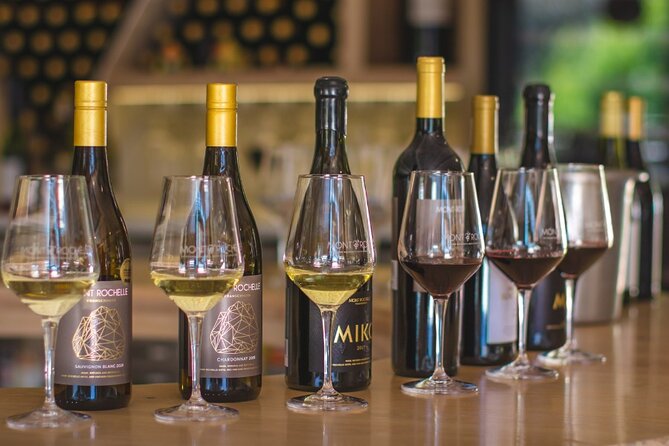 Franschhoek Winelands Luxury EBike Tour - Lunch, pairings, and what is really included