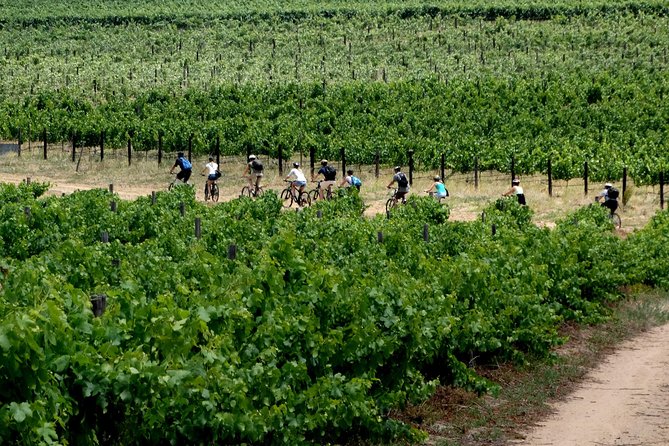 Franschhoek Winelands Luxury EBike Tour - Rickety Bridge: a strong first taste of wine country