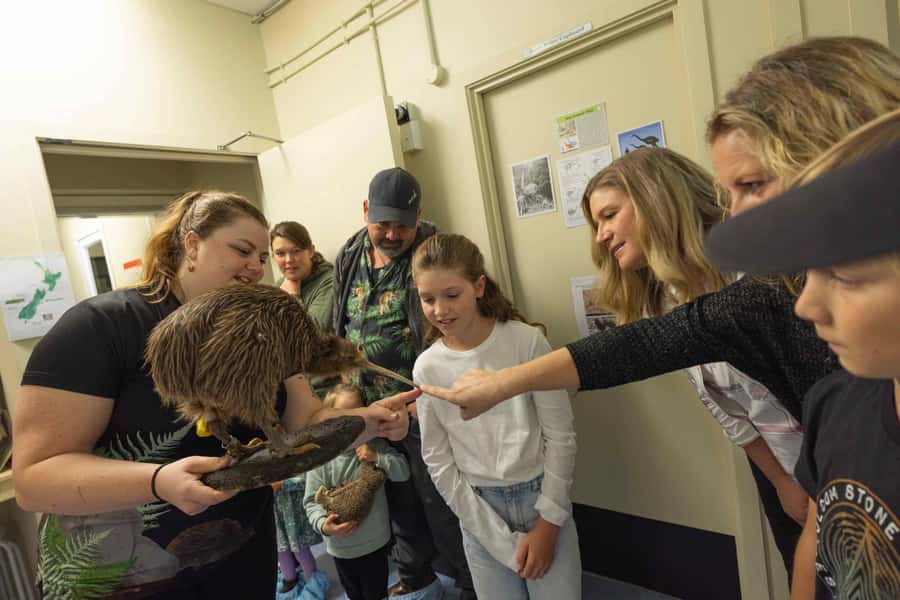 Franz Josef: Kiwi VIP Backstage Pass Tour -Booking Essential - The 40-minute VIP Backstage Pass