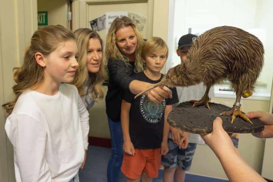 Franz Josef: Kiwi VIP Backstage Pass Tour -Booking Essential - Entering the West Coast Wildlife Centre at 31 Cron Street