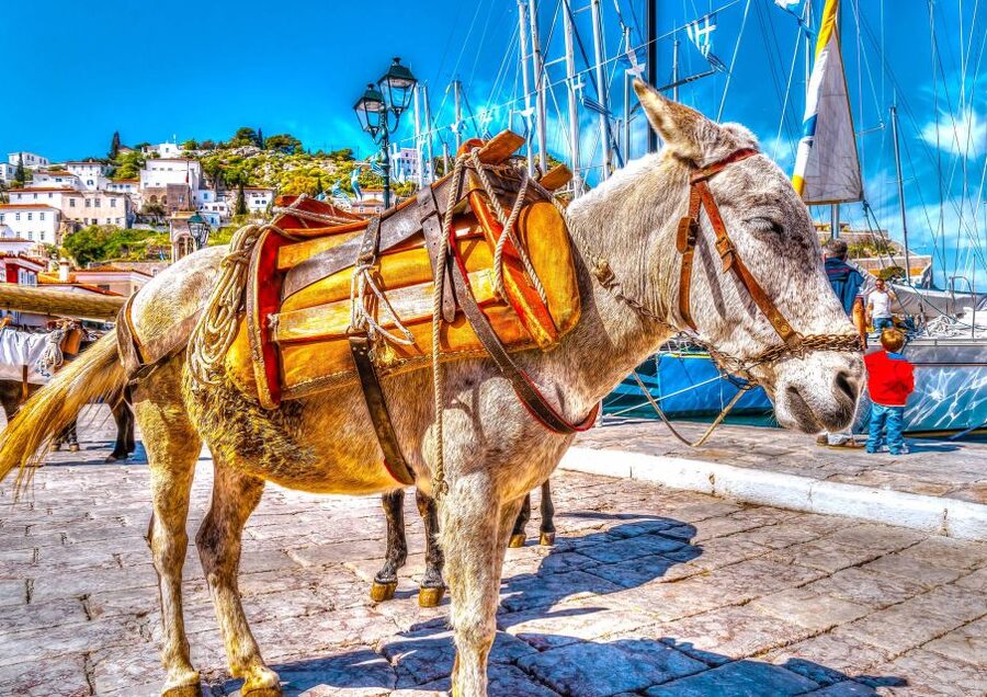 From Athens: Saronic Islands Full-Day Cruise with VIP Seats - Lunch, drinks, and the value of first-class service