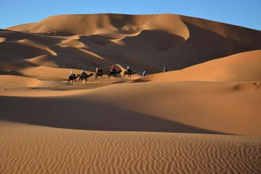 From Fes: 2-Day Luxury Desert Tour to Marrakech & Back Fez - Sunrise, breakfast, and the ride back