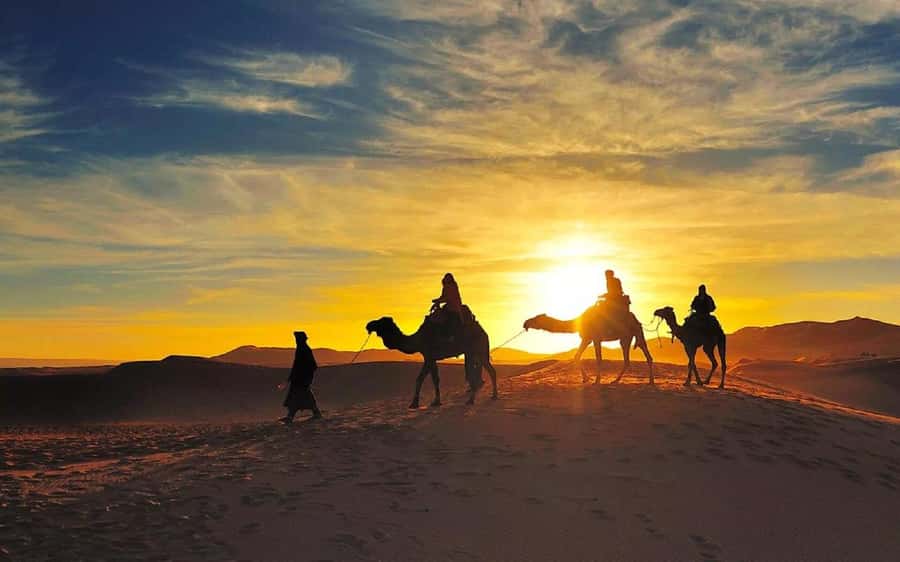 From Fes: 2-Day Luxury Desert Tour to Marrakech & Back Fez - Fes to Marrakech in two days: who can handle it?