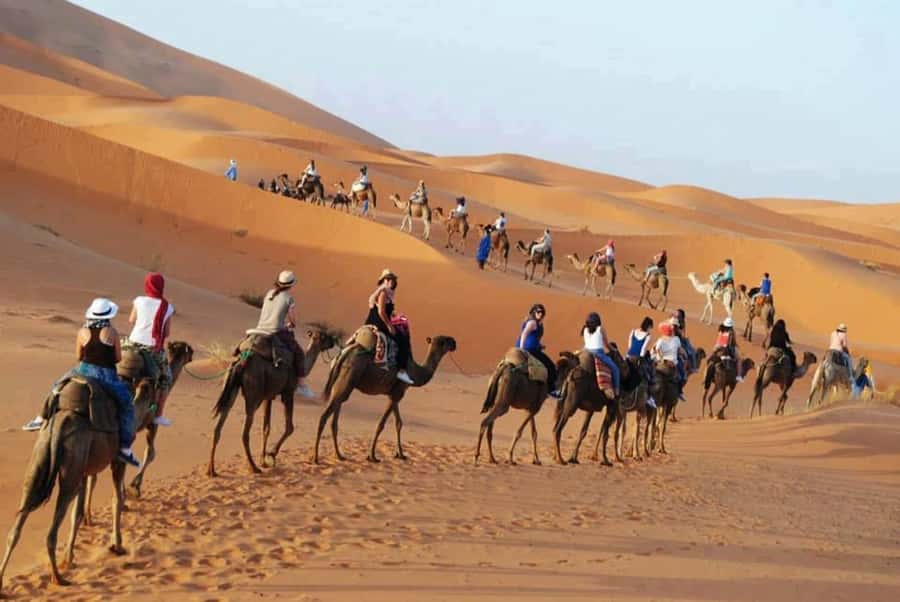 From Fes: 2-Day Luxury Desert Tour to Marrakech & Back Fez - Is $112 a good value?