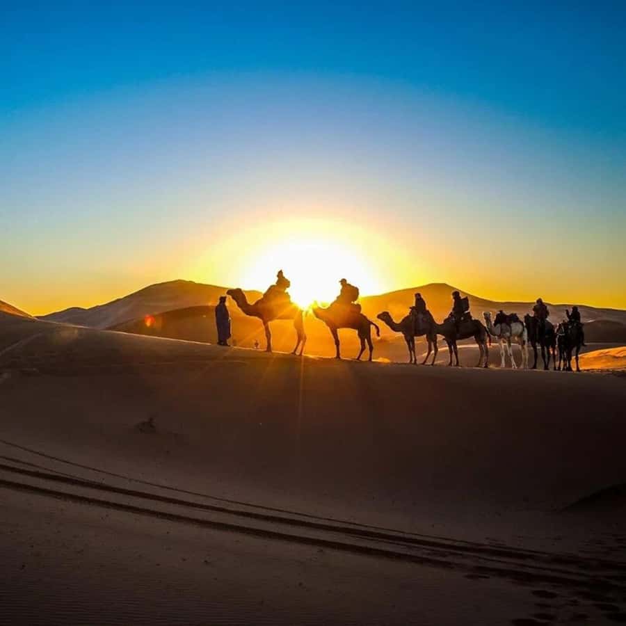 From Fes: 2-Day Luxury Desert Tour to Marrakech & Back Fez - Ifrane and the cedar forests