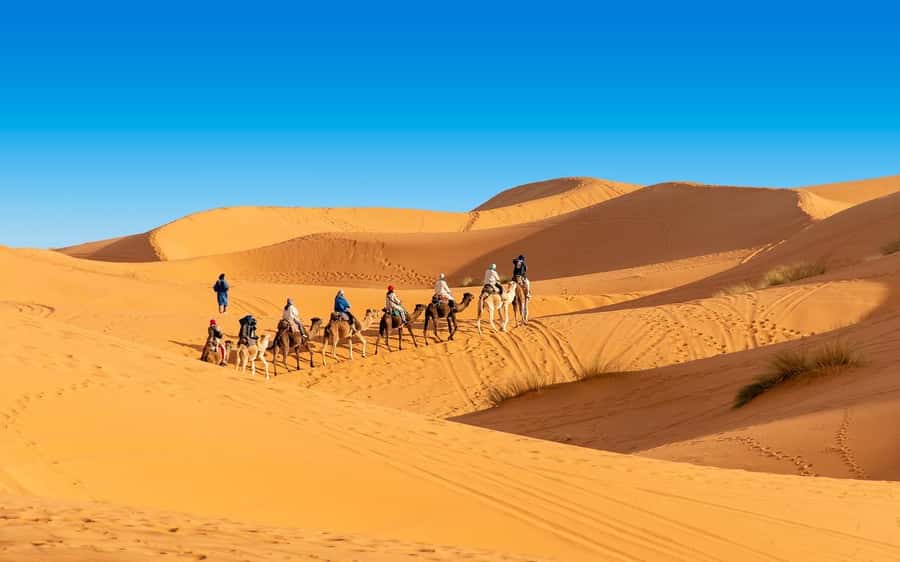 From Fes: 2-Day Merzouga Desert Trip(Luxury Tent & Dinner) - Key points to know before you book