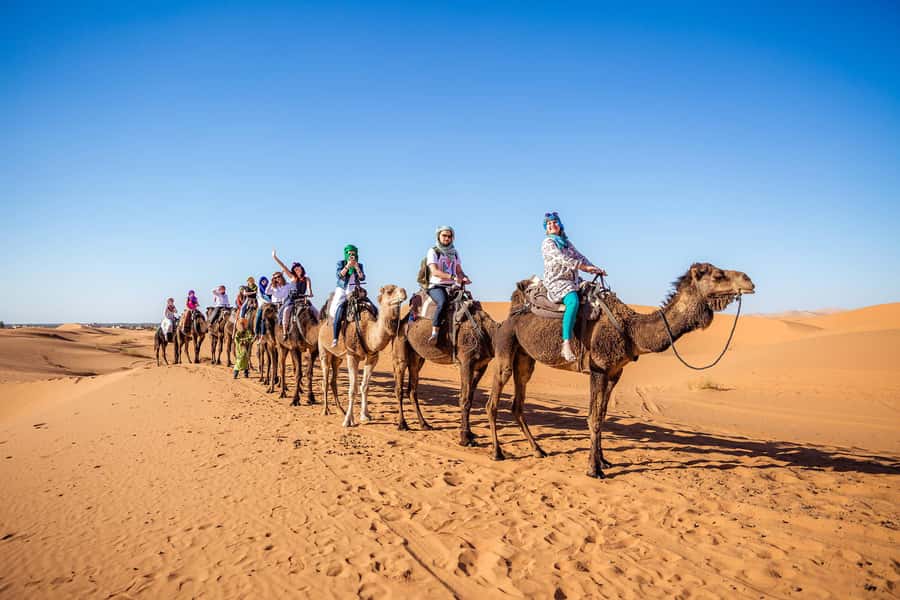 From Fes: 2-Day Merzouga Desert Trip(Luxury Tent & Dinner) - Cedar forest monkeys and a practical Midelt stop