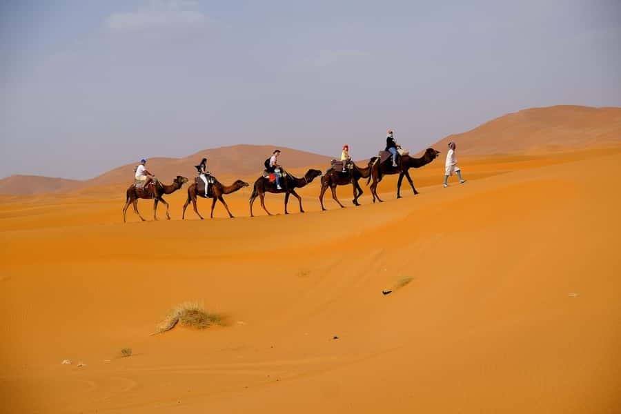 From Fes: 2-Day Merzouga Desert Trip w/Luxury Tent & Dinner - The drivers are central to the experience