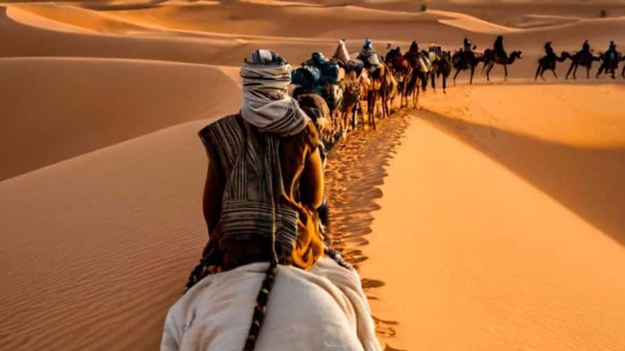 From Fes: 2-Day Merzouga Desert Trip w/Luxury Tent & Dinner - Ifrane, cedar trees, and Barbary monkeys