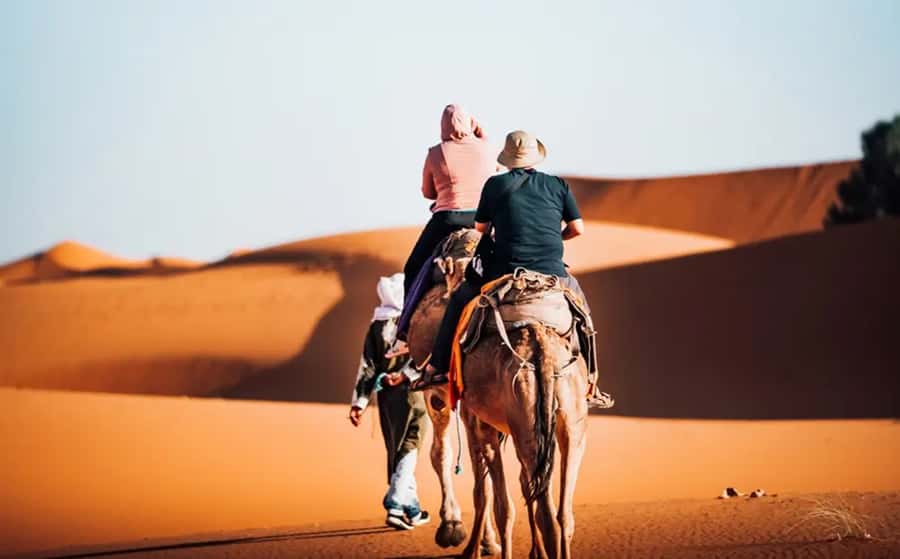 From Fes: 3-Day Luxury Desert Tour to Marrakech via Merzouga - Choosing between the standard and luxury desert camp