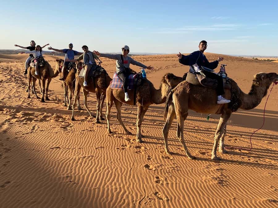 From Fes: 3-Day Luxury Desert Tour to Marrakech via Merzouga - Should you book this Fes to Marrakech desert tour?