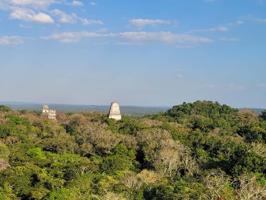 From Flores: Tikal VIP Exclusive cultural Tour All inclusive - Temples, plazas, and the main sights