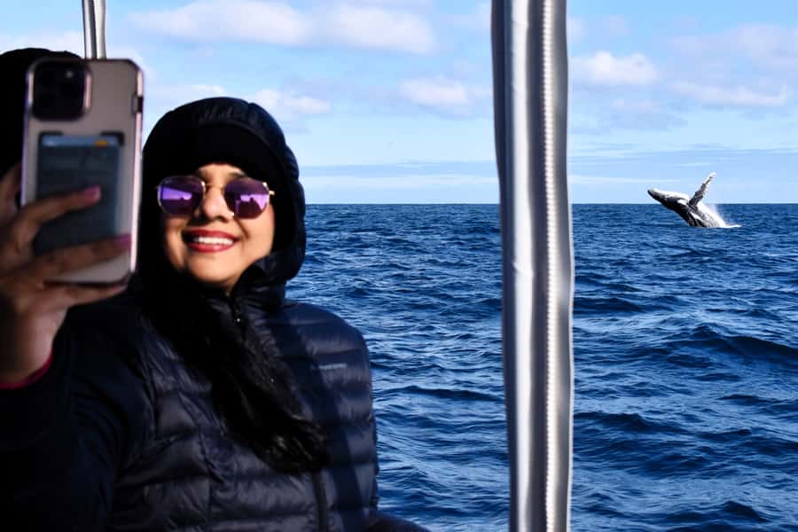 From Fremantle: 2-Hour Luxury Whale-Watching Cruise - Key points to know before booking