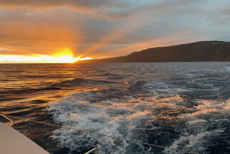 From Funchal: Cabo Girao Sunset Cruise on Luxury Catamaran - Watching for dolphins and whales