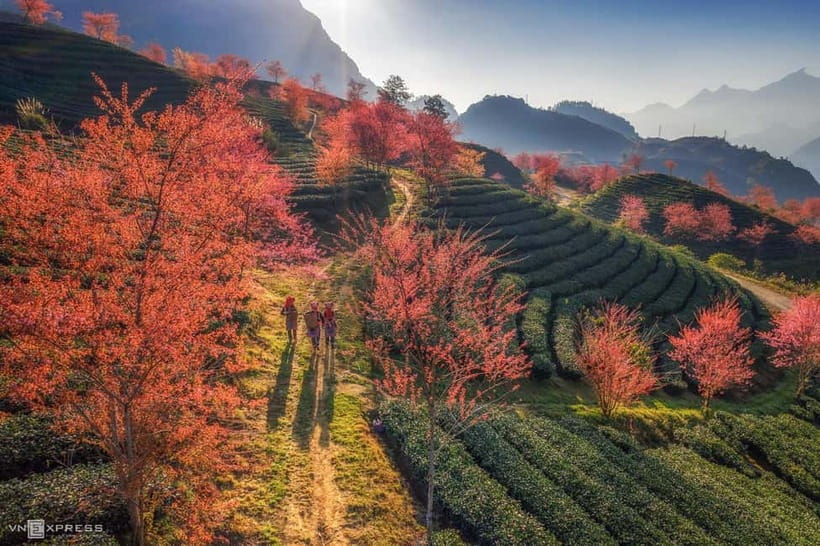 From Hanoi: 2-Day Luxury Sapa Trekking Tour with Homestay - Why this Sapa tour works well from Hanoi