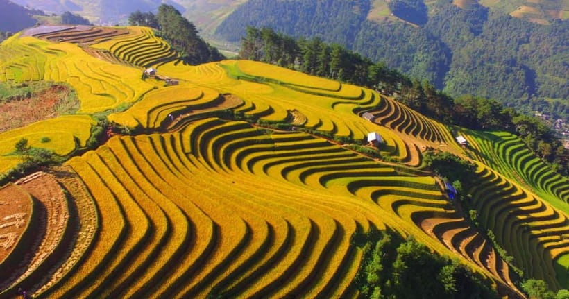 From Hanoi: 2-Day Luxury Sapa Trekking Tour with Homestay - Guides can make or break the walk